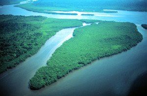 Guaraguacu, Pontal do Paraná